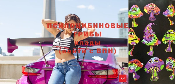 первитин Осинники